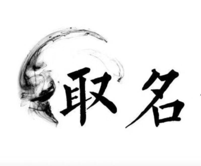  望花宝宝取名 大师一对一人工起名